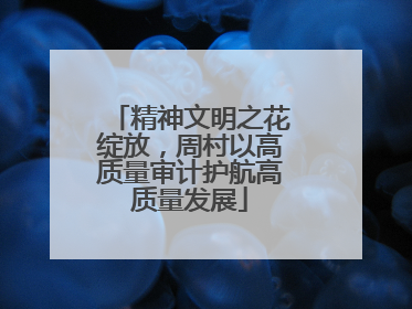 精神文明之花绽放，周村以高质量审计护航高质量发展