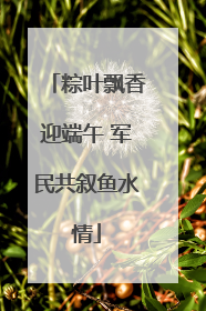 粽叶飘香迎端午 军民共叙鱼水情