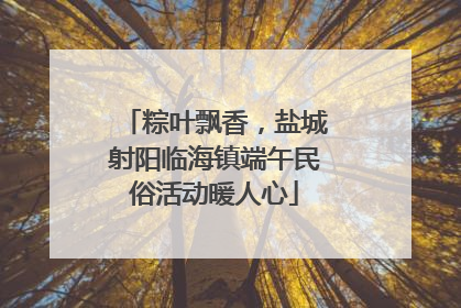 粽叶飘香，盐城射阳临海镇端午民俗活动暖人心