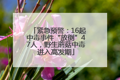 紧急预警：16起中毒事件“放倒”47人，野生蘑菇中毒进入高发期