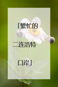 繁忙的二连浩特口岸
