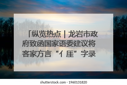 纵览热点｜龙岩市政府致函国家语委建议将客家方言“亻厓”字录入《新华字典》引发热议，当地回应