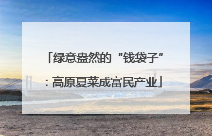 绿意盎然的“钱袋子”：高原夏菜成富民产业