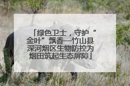 绿色卫士，守护“金叶”飘香—竹山县深河烟区生物防控为烟田筑起生态屏障