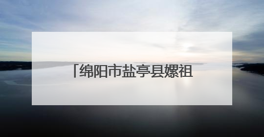 绵阳市盐亭县嫘祖幼儿园接待乐山市沙湾区政协观摩团