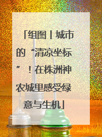 组图丨城市的“清凉坐标”！在株洲神农城里感受绿意与生机