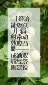 经济能级跃升 辐射带动效应凸显——成渝双城经济圈建设五周年智库成果重磅发布