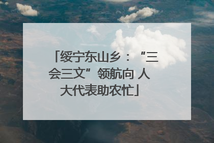 绥宁东山乡：“三会三文”领航向 人大代表助农忙