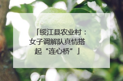 绥江县农业村：女子调解队真情搭起“连心桥”