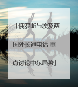 俄罗斯与埃及两国外长通电话 重点讨论中东局势