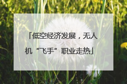 低空经济发展，无人机“飞手”职业走热