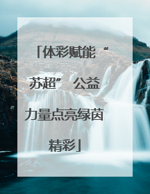 体彩赋能“苏超” 公益力量点亮绿茵精彩