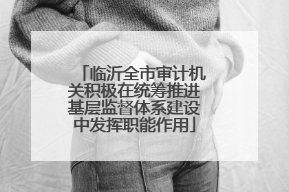 临沂全市审计机关积极在统筹推进基层监督体系建设中发挥职能作用