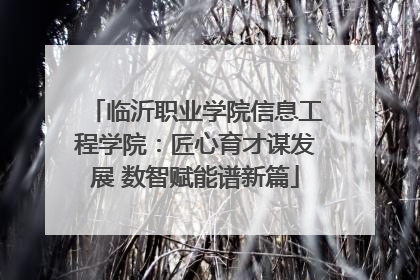 临沂职业学院信息工程学院：匠心育才谋发展 数智赋能谱新篇