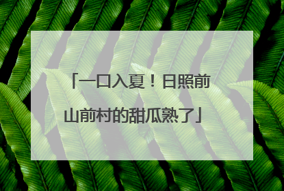 一口入夏！日照前山前村的甜瓜熟了