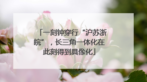 一刻钟穿行“沪苏浙皖”，长三角一体化在此刻得到具像化
