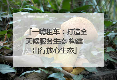 一嗨租车：打造全天候服务生态 构建出行放心生态