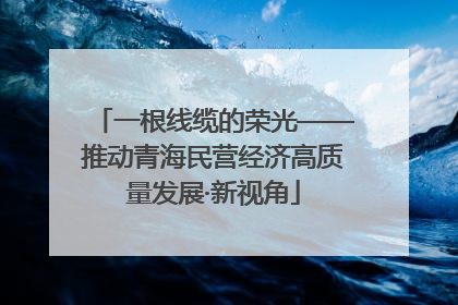 一根线缆的荣光——推动青海民营经济高质量发展·新视角
