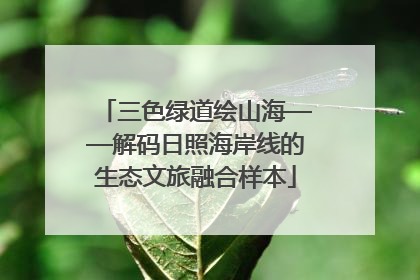 三色绿道绘山海——解码日照海岸线的生态文旅融合样本