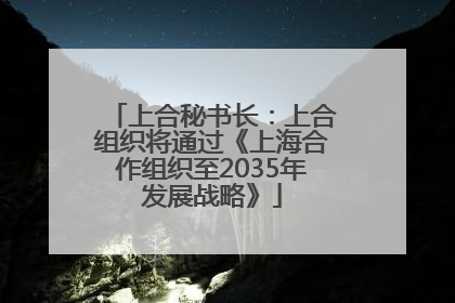 上合秘书长：上合组织将通过《上海合作组织至2035年发展战略》