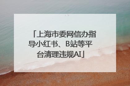 上海市委网信办指导小红书、B站等平台清理违规AI