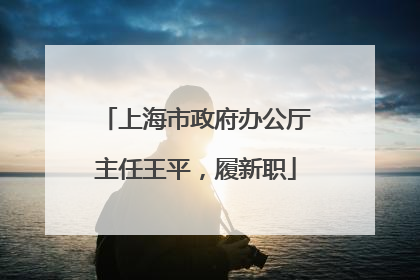 上海市政府办公厅主任王平，履新职