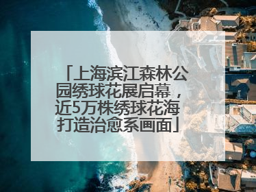 上海滨江森林公园绣球花展启幕，近5万株绣球花海打造治愈系画面