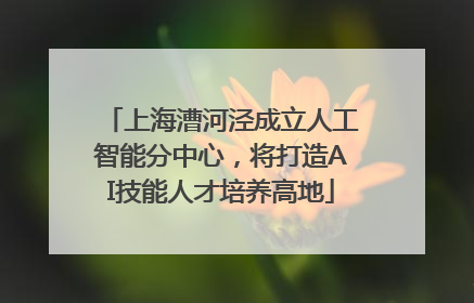 上海漕河泾成立人工智能分中心，将打造AI技能人才培养高地