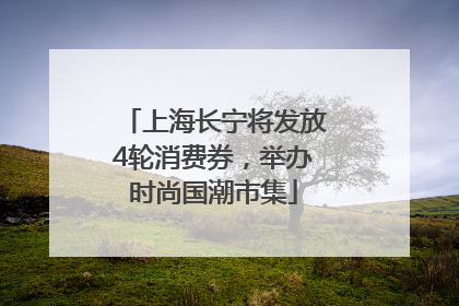 上海长宁将发放4轮消费券，举办时尚国潮市集