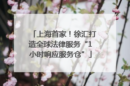 上海首家！徐汇打造全球法律服务“1小时响应服务仓”