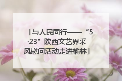 与人民同行——“5·23”陕西文艺界采风慰问活动走进榆林
