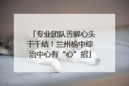 专业团队善解心头千千结！兰州榆中综治中心有“心”招
