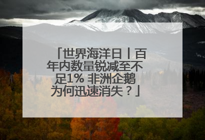 世界海洋日丨百年内数量锐减至不足1% 非洲企鹅为何迅速消失？