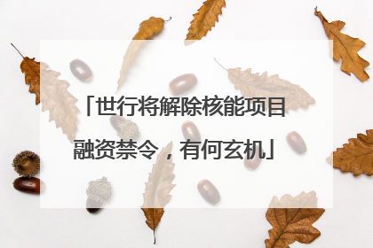 世行将解除核能项目融资禁令，有何玄机