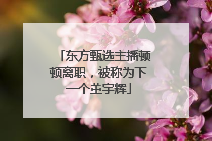 东方甄选主播顿顿离职，被称为下一个董宇辉