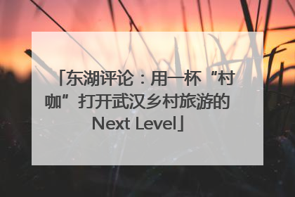 东湖评论：用一杯“村咖”打开武汉乡村旅游的Next Level