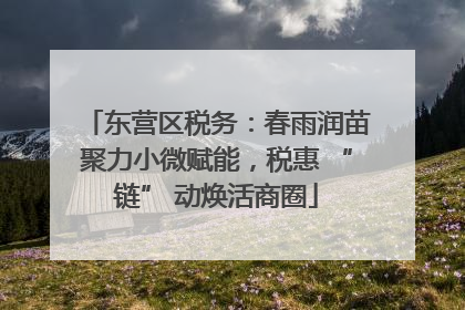 东营区税务：春雨润苗聚力小微赋能，税惠 “链” 动焕活商圈