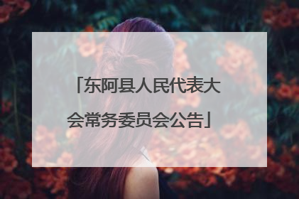 东阿县人民代表大会常务委员会公告