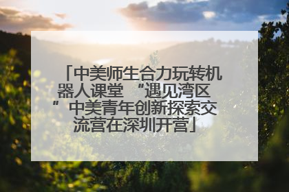 中美师生合力玩转机器人课堂 “遇见湾区”中美青年创新探索交流营在深圳开营