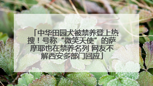 中华田园犬被禁养登上热搜！号称“微笑天使”的萨摩耶也在禁养名列 网友不解西安多部门回应