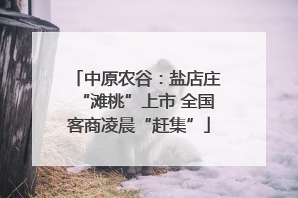 中原农谷：盐店庄“滩桃”上市 全国客商凌晨“赶集”