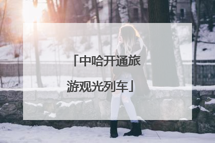 中哈开通旅游观光列车