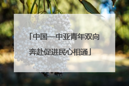 中国—中亚青年双向奔赴促进民心相通