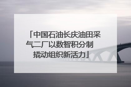中国石油长庆油田采气二厂以数智积分制 撬动组织新活力