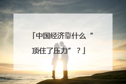 中国经济靠什么“顶住了压力”？