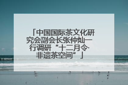 中国国际茶文化研究会副会长张仲灿一行调研“十二月令·非遗茶空间”