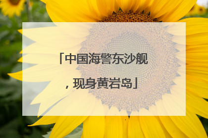 中国海警东沙舰，现身黄岩岛