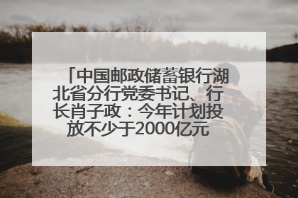 中国邮政储蓄银行湖北省分行党委书记、行长肖子政：今年计划投放不少于2000亿元支持支点建设