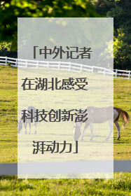 中外记者在湖北感受科技创新澎湃动力
