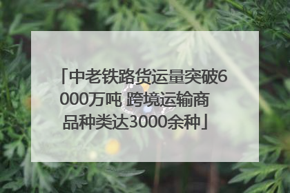 中老铁路货运量突破6000万吨 跨境运输商品种类达3000余种